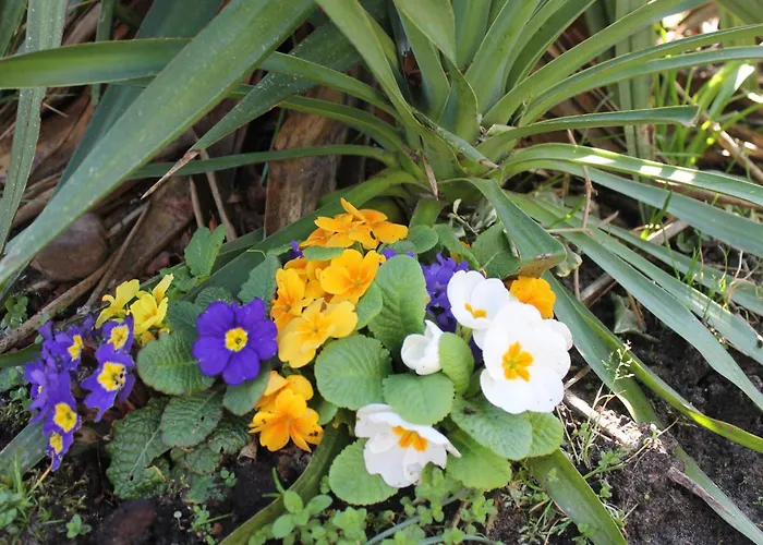 Estrela Do Norte Отель типа 